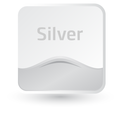 silver-plan