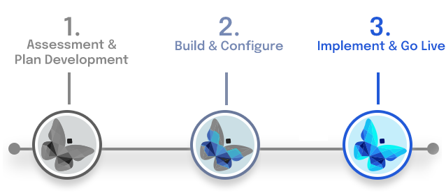 Integrator-Implementation